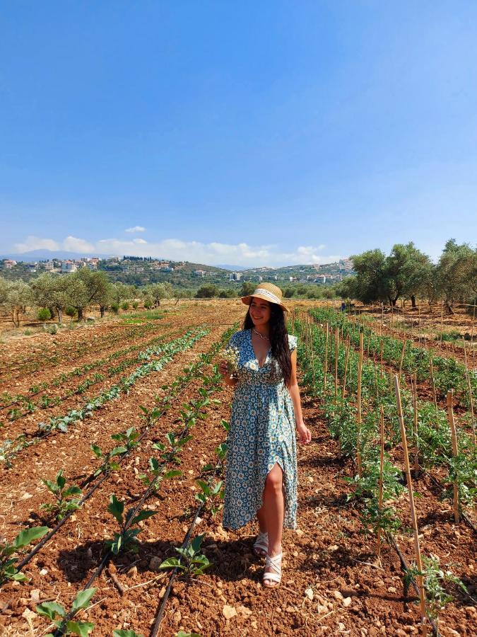 The Ranch Villa Kfar Hazir Buitenkant foto